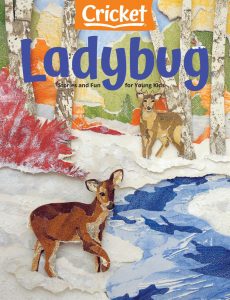 Ladybug – November 2020