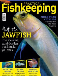 Practical Fishkeeping – December 2020