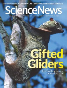 Science News – 21 November 2020