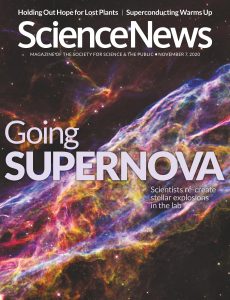 Science News – 7 November 2020