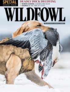 Wildfowl – December 2020 – January 2021