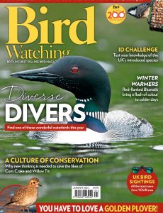 Bird Watching UK – January 2021