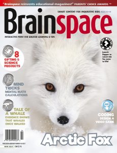 Brainspace – Winter 2020-2021
