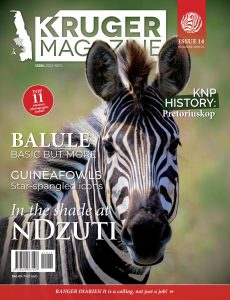 Kruger Magazine – Summer 2020-2021