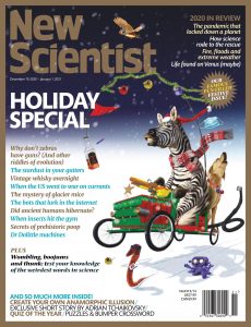 New Scientist – December 19, 2020