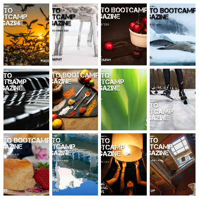 Photo Bootcamp – Full Year 2020 Issues Collection