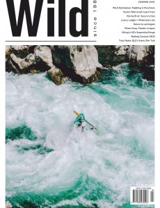 Wild – Summer 2020