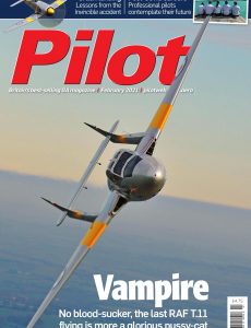 Pilot – February 2021