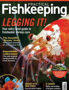 Practical Fishkeeping – February 2021