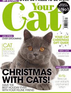 Your Cat – December 2020