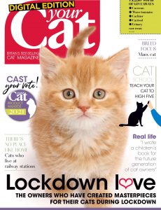 Your Cat – September 2020