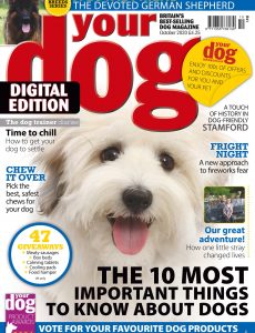 Your Dog – October 2020