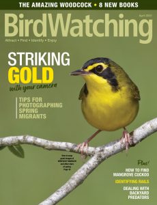 BirdWatching USA – April 2021