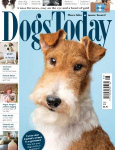 Dogs Today UK – June 2020