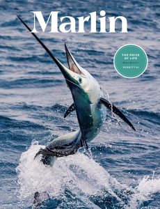 Marlin – March 2021