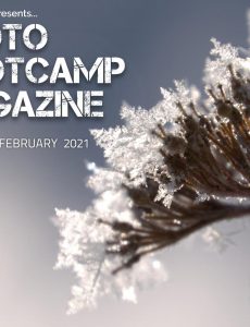 Photo BootCamp – February 2021