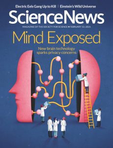 Science News – 13 February 2021