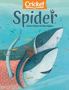 Spider – February 2021