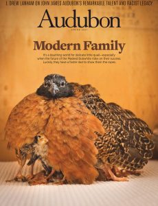 Audubon Magazine – Spring 2021