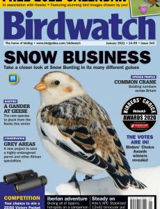 Birdwatch UK – Issue 343 – January 2021