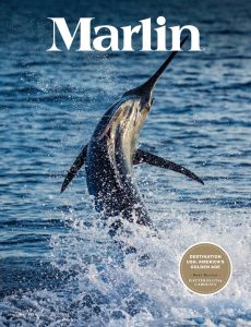 Marlin – April 2021