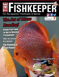 The Fishkeeper – January-February 2021