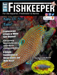 The Fishkeeper – March-April 2021
