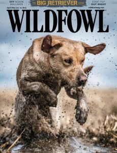 Wildfowl – April-May 2021