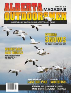 Alberta Outdoorsmen – Volume 22 Issue 11 – March 2021