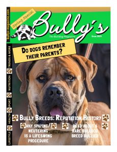 Bully’s The Bulldog Magazine – Spring 2021