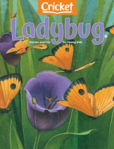 Ladybug – April 2021
