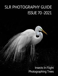SLR Photography Guide – Issue 70 2021