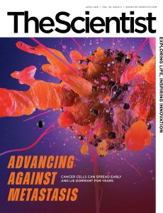 The Scientist – April 2021
