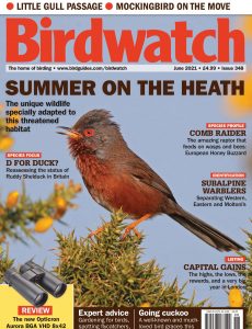 Birdwatch UK – June 2021