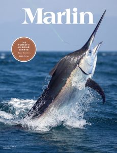 Marlin – June-July 2021