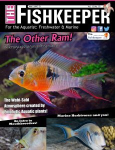 The Fishkeeper – May-June 2021