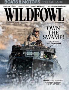 Wildfowl – June-July 2021