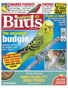 Cage & Aviary Birds – April 2021