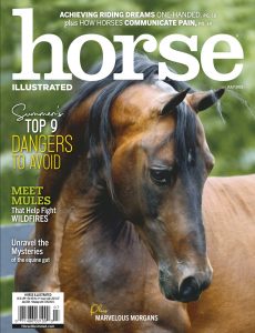 Horse Illustrated – July 2021