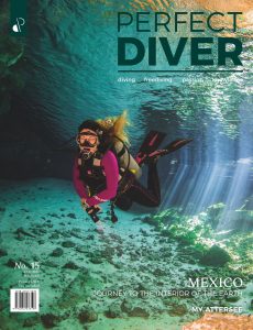 Perfect Diver – May-June 2021
