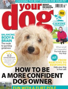 A Dog Year PDF Free Download