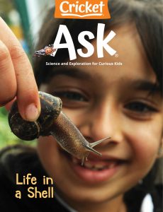 Ask – July 2021