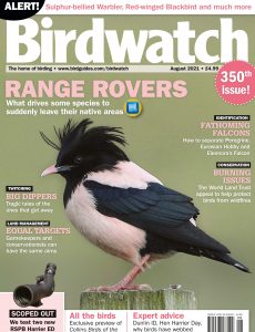 Birdwatch UK – August 2021