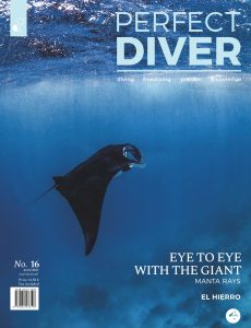 Perfect Diver – July-August 2021