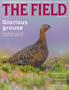 The Field – August 2021