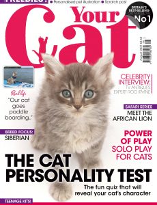 Your Cat – August 2021