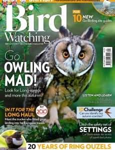 Bird Watching UK – October 2021