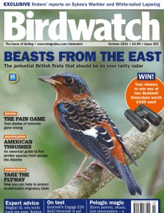 Birdwatch UK – Issue 352 – October 2021