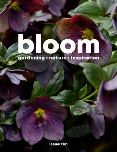 Bloom – August 2021