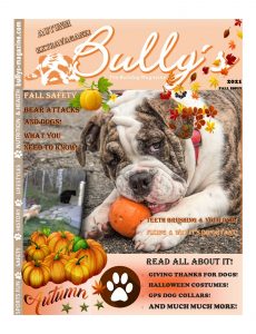 Bully’s The Bulldog Magazine – Fall 2021
